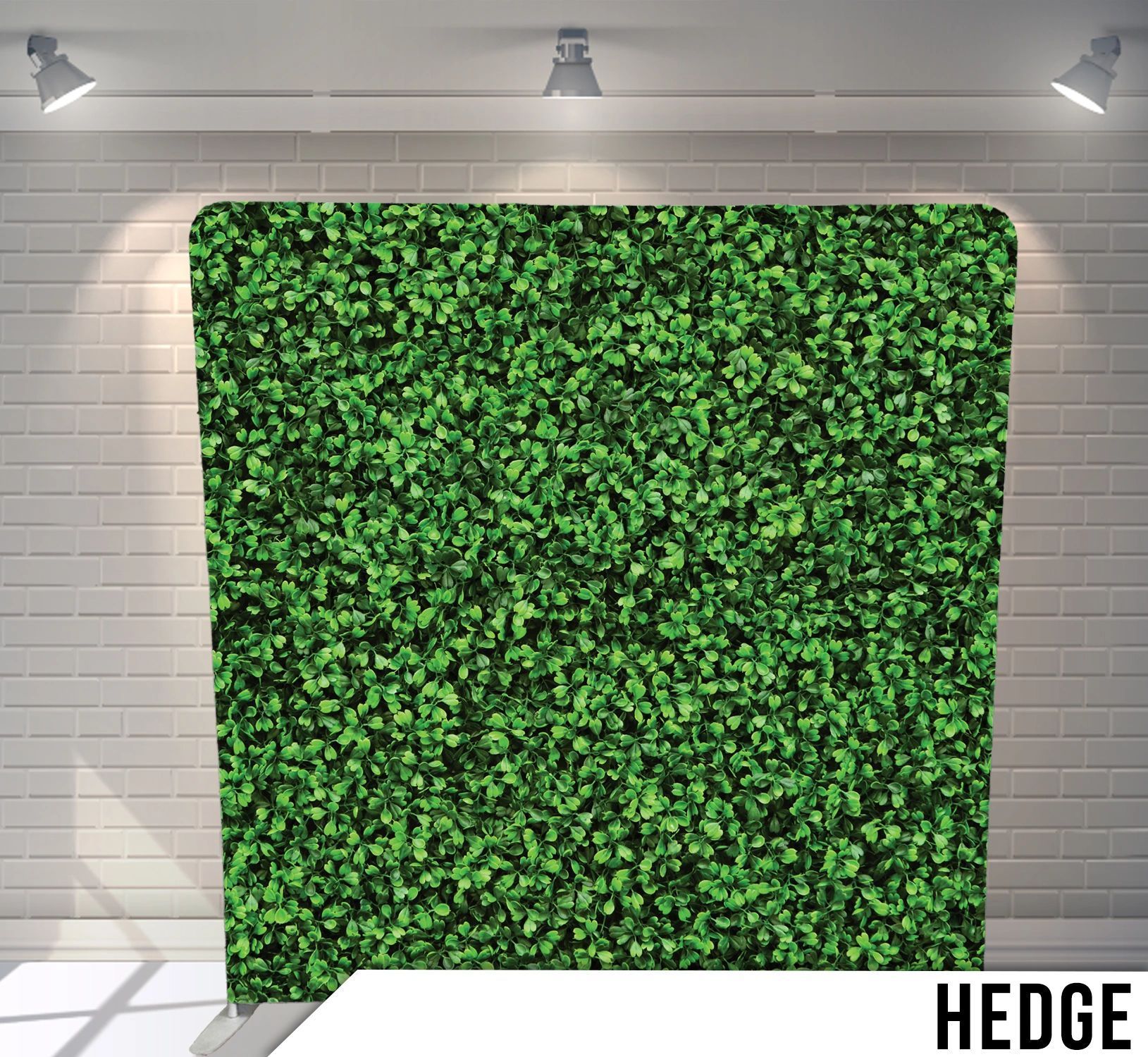A green hedge is against a white brick wall.
