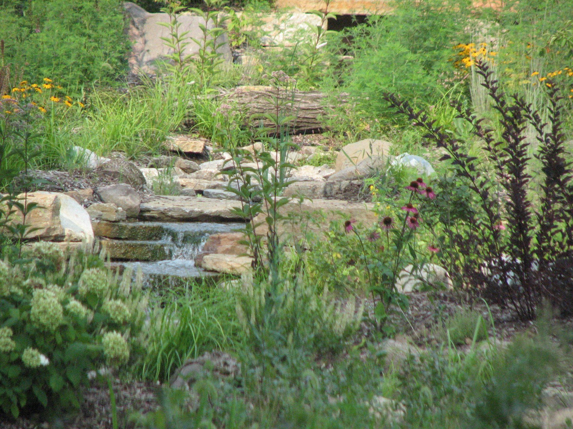 Cincinnati Nature Center - natural playscape