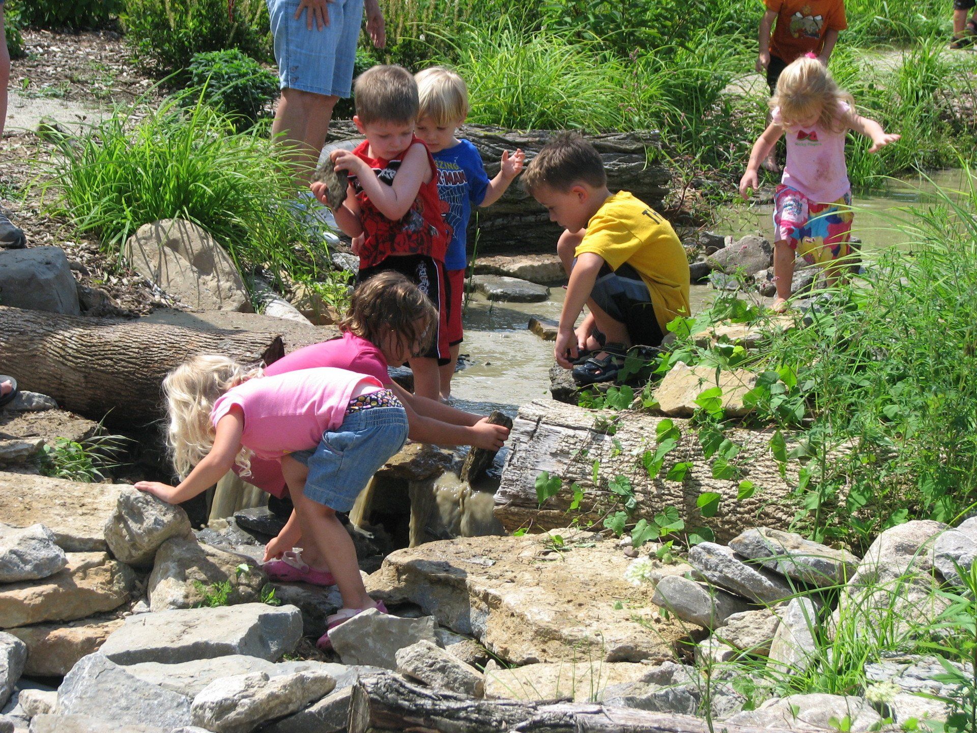 link to Public Projects portfolio