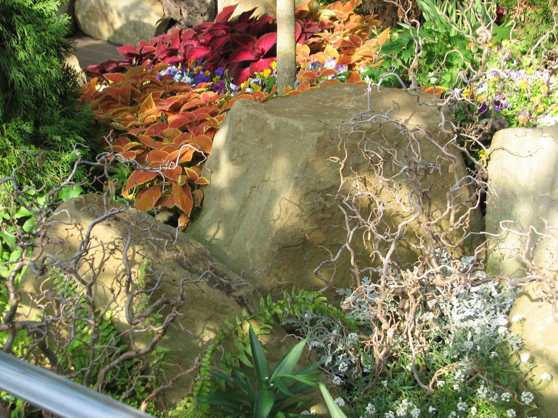 Krohn Conservatory - Enchanted Forest with stone, water + plants