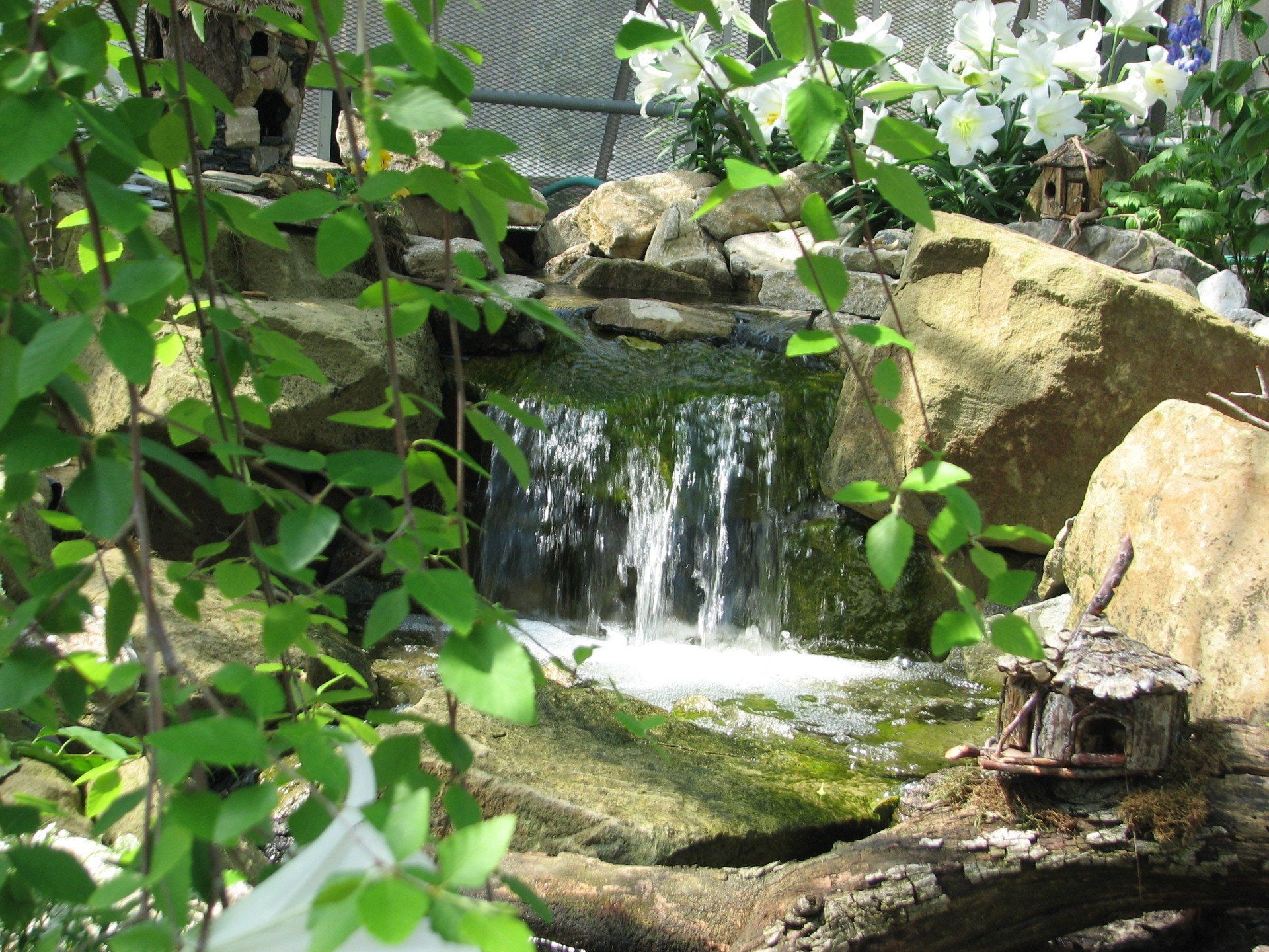 Krohn Conservatory - Enchanted Forest with stone, water + plants