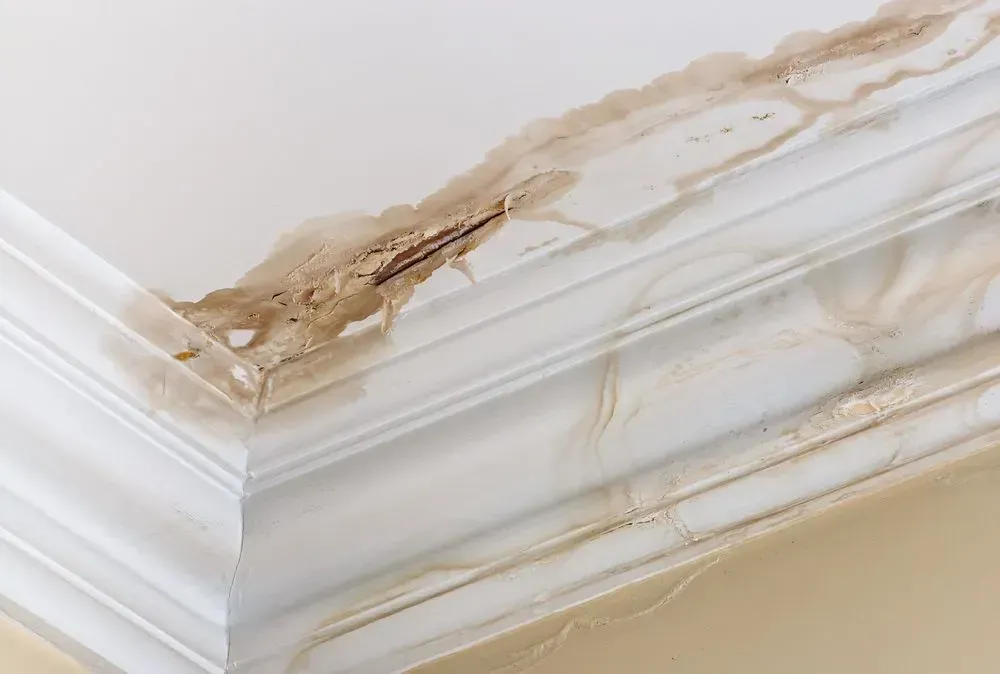 A close up of a corner of a wall with a stain on it. A close up of a corner of a wall with a stain on it.