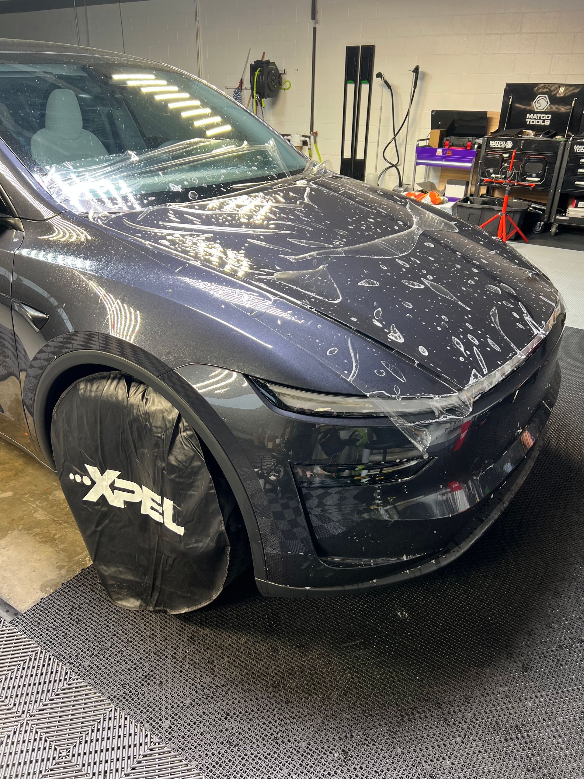 Dark blue car with white spots, front view in a shop. Wheel covers say XPEL.