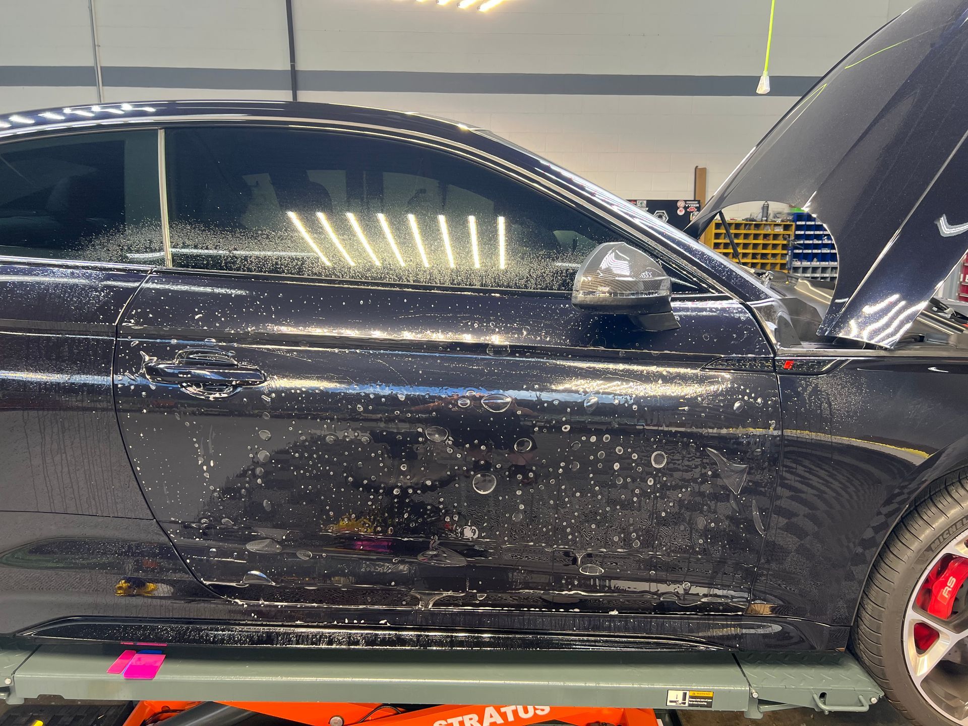 A tesla model 3 has a sunroof with a tree in the background.