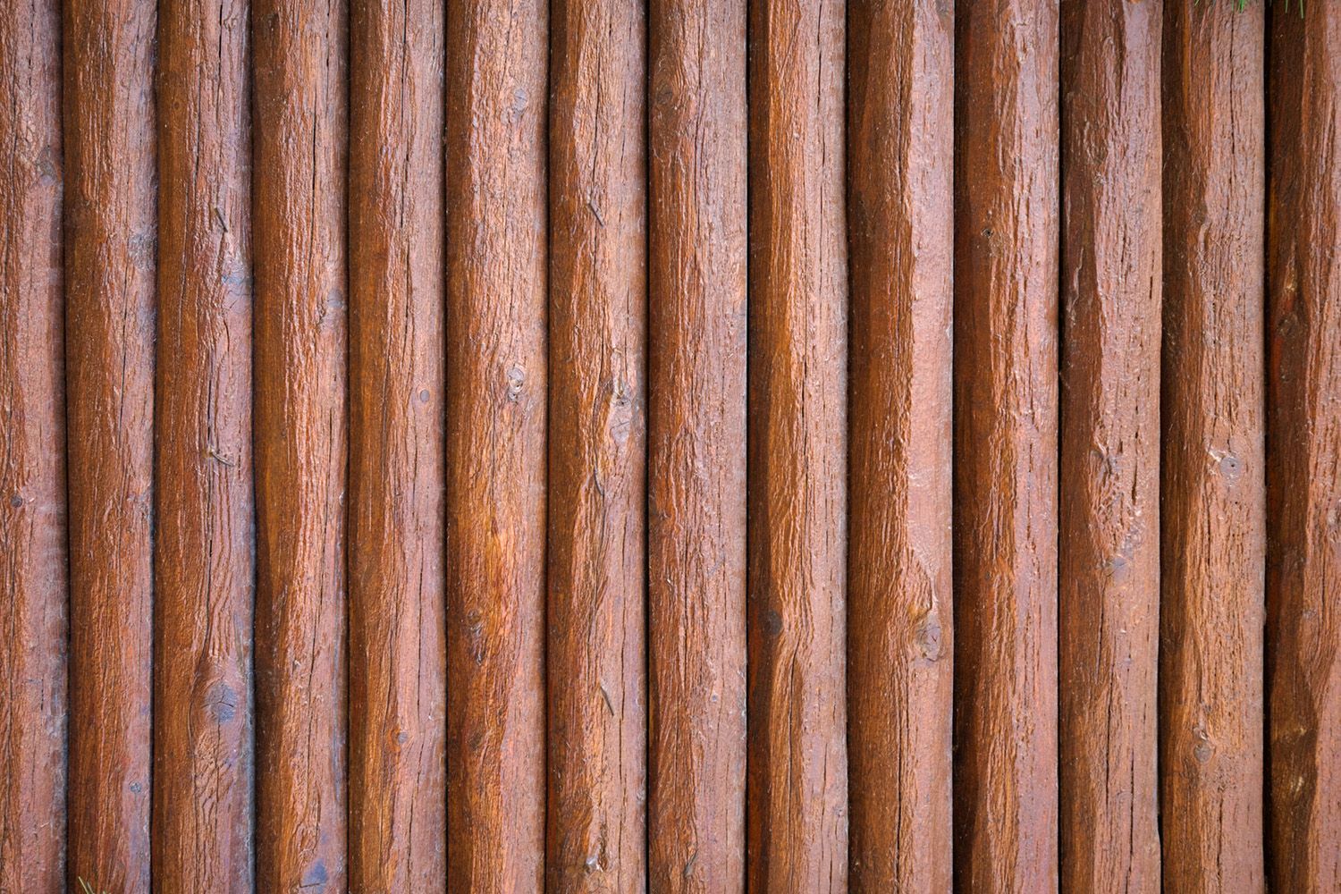 Spruce Fence | Decatur, AL | Semper Fence LLC