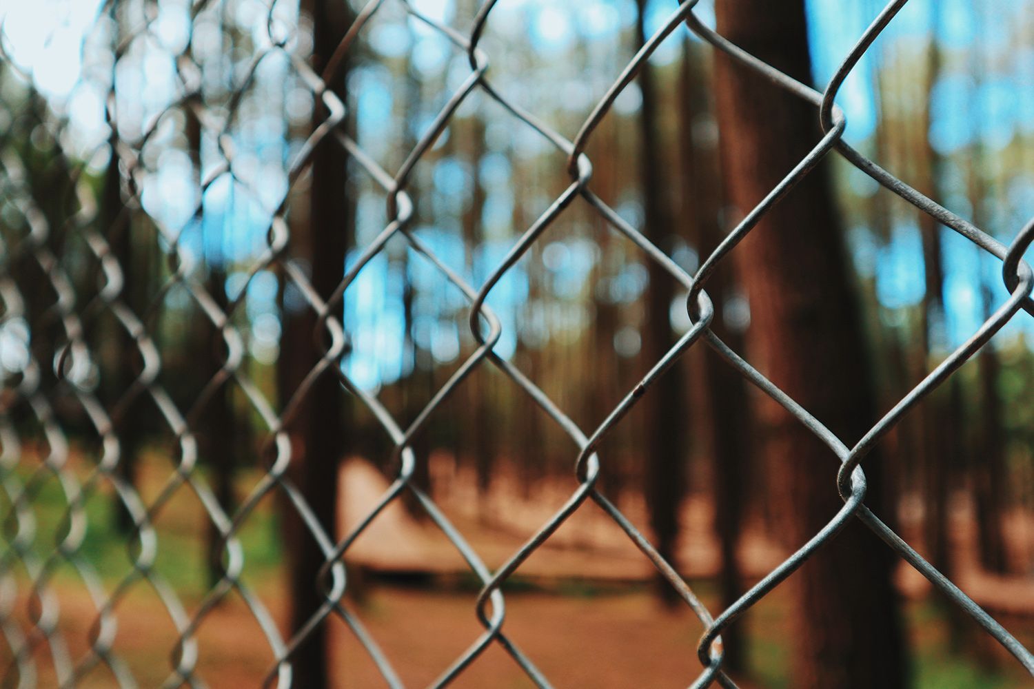 Chain Link Fences | Decatur, AL | Semper Fence LLC