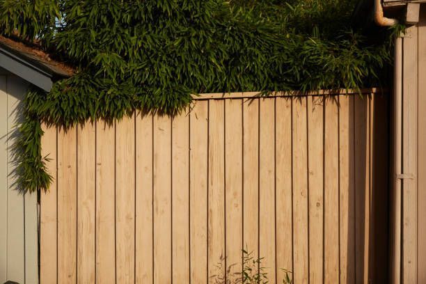 Pressure Treated Lumber Fence | Decatur, AL | Semper Fence LLC