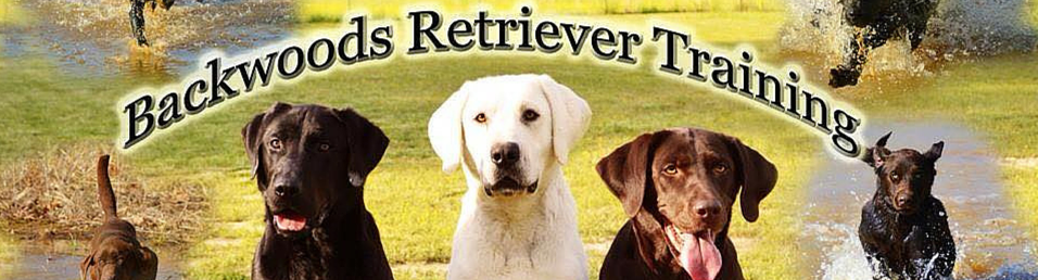 Logo for JR’s Handyman Renew Surfacing, featuring business name and services over a bathroom sink and tub background.