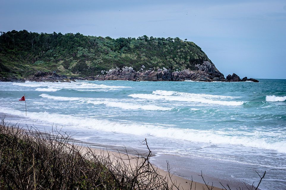 Uma pessoa está surfando em uma prancha no oceano em uma praia.