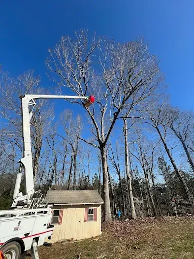 A tree being trimmed by a bucket truck near a small building and forest under a clear blue sky.
