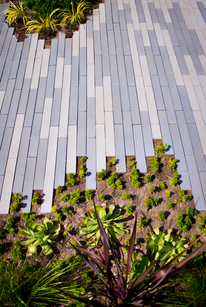 Gray and white striped pavement design above a garden bed with green and red plants.