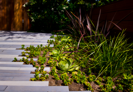 Stone path with green plants and burgundy ornamental grass beside a wooden fence.