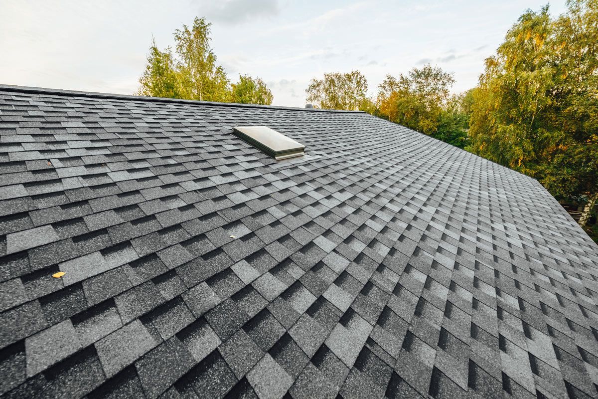 A close up of a roof with a skylight and trees in the background