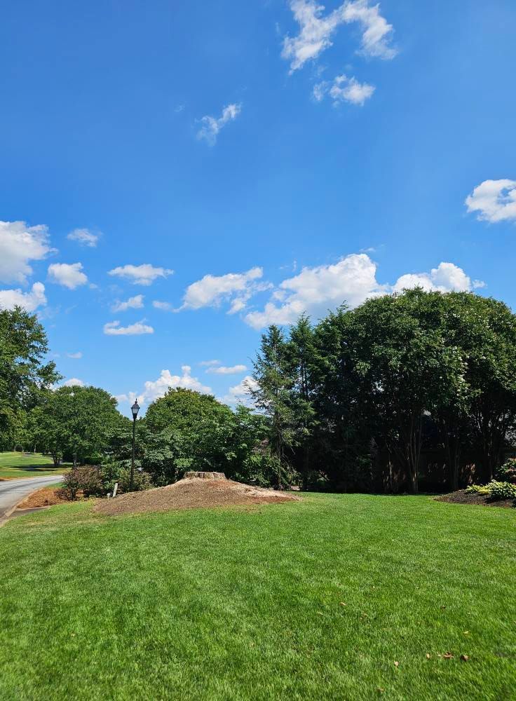 Bright blue sky with puffy white clouds above a green lawn, trees, and a tree stump.