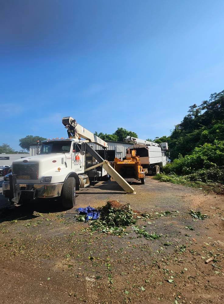 White tree service truck with extended lift arm; wood chipper; blue sky; branches on ground.