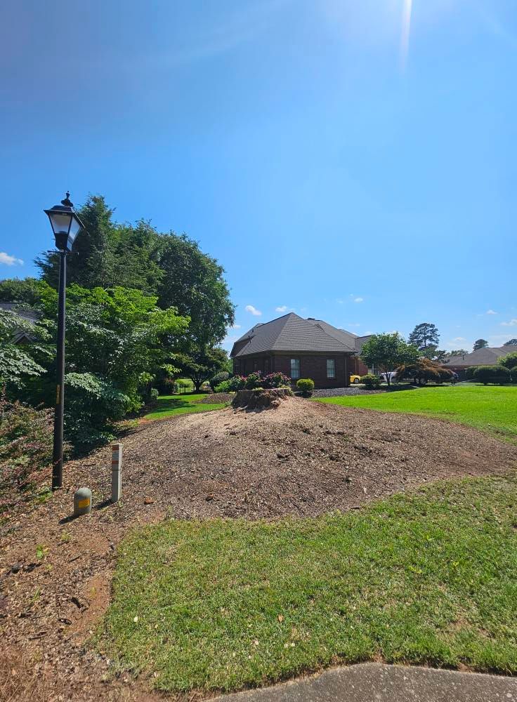 A sunny, blue sky over a landscaped front yard with a dark roofed house in the background.