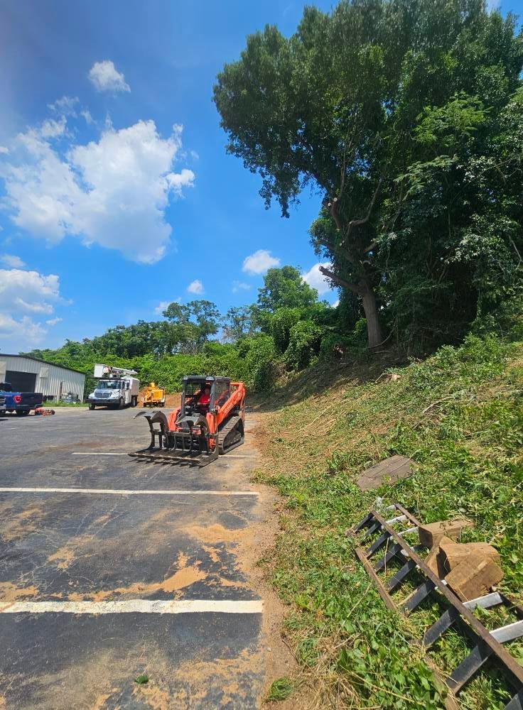 Orange skid steer on a paved parking lot clearing debris near a grassy hillside and large tree, under a blue sky.