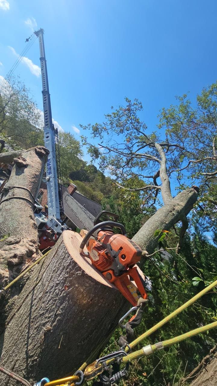 A chainsaw cuts a large log, mounted on a boom lift, blue sky background.