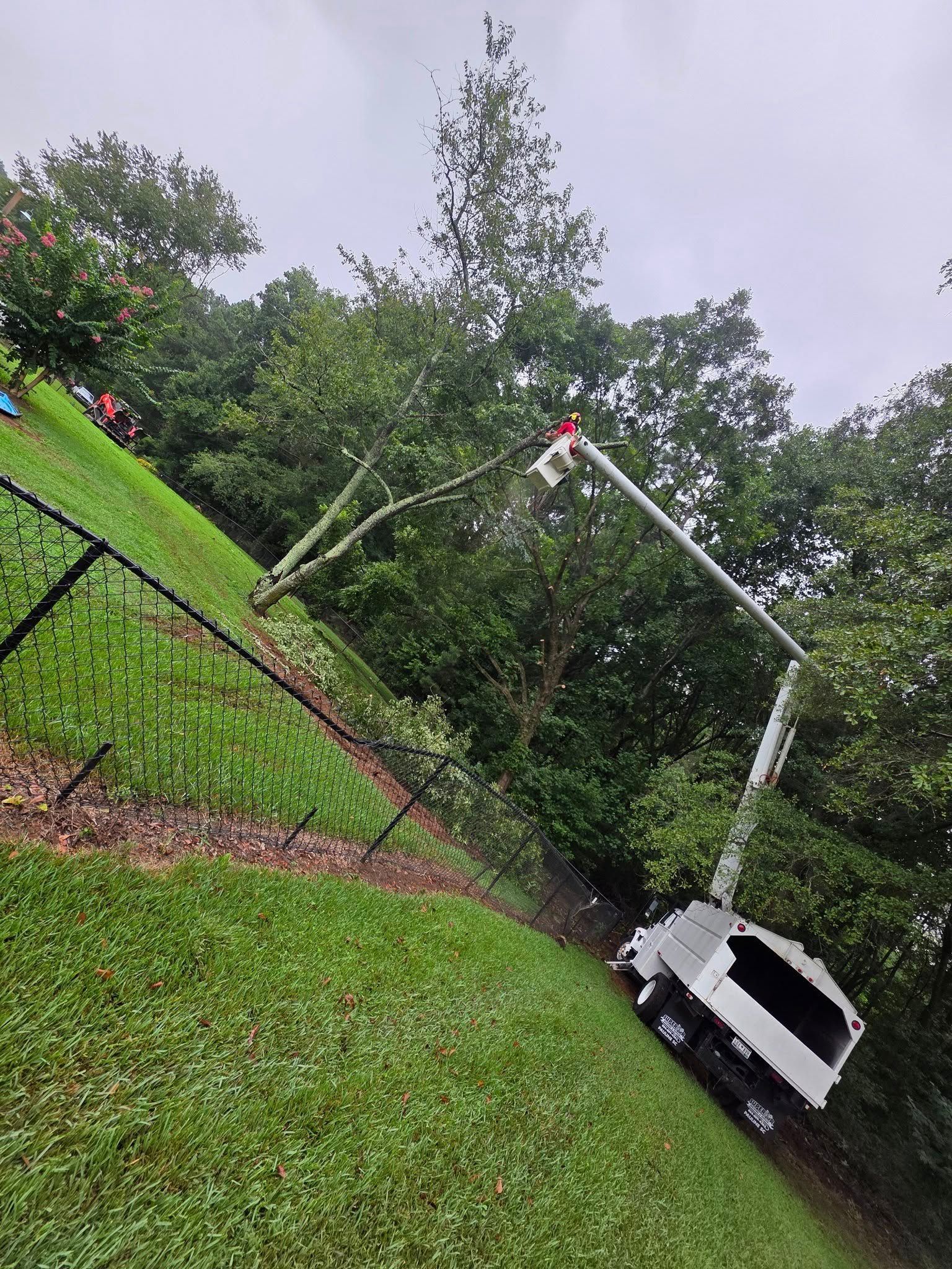 Tree trimming truck on a grassy hillside, extended arm cutting a tree. Green grass, black fence, overcast sky.