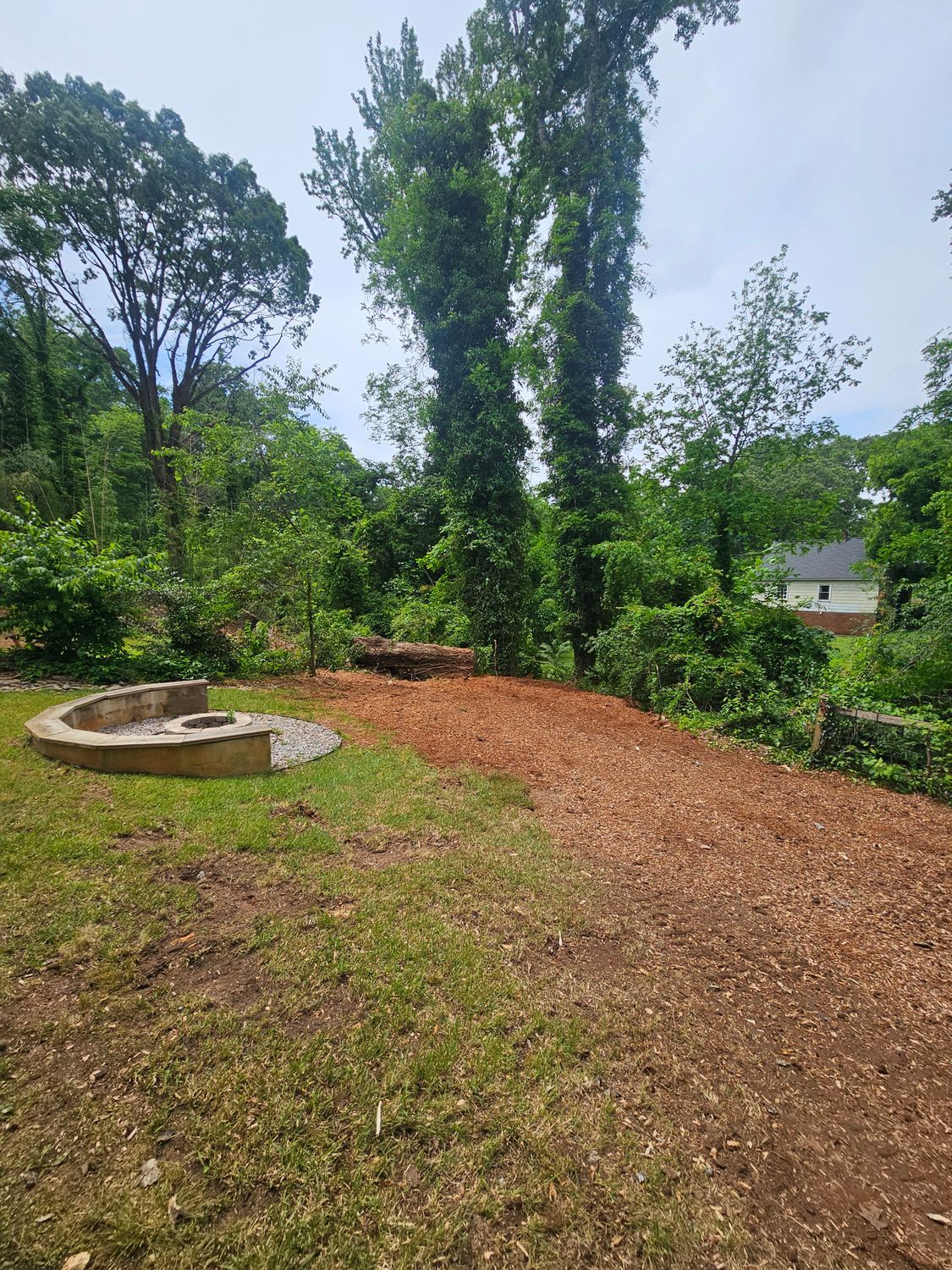 A cleared area with a wood-chip path, fire pit, and trees in a natural setting.