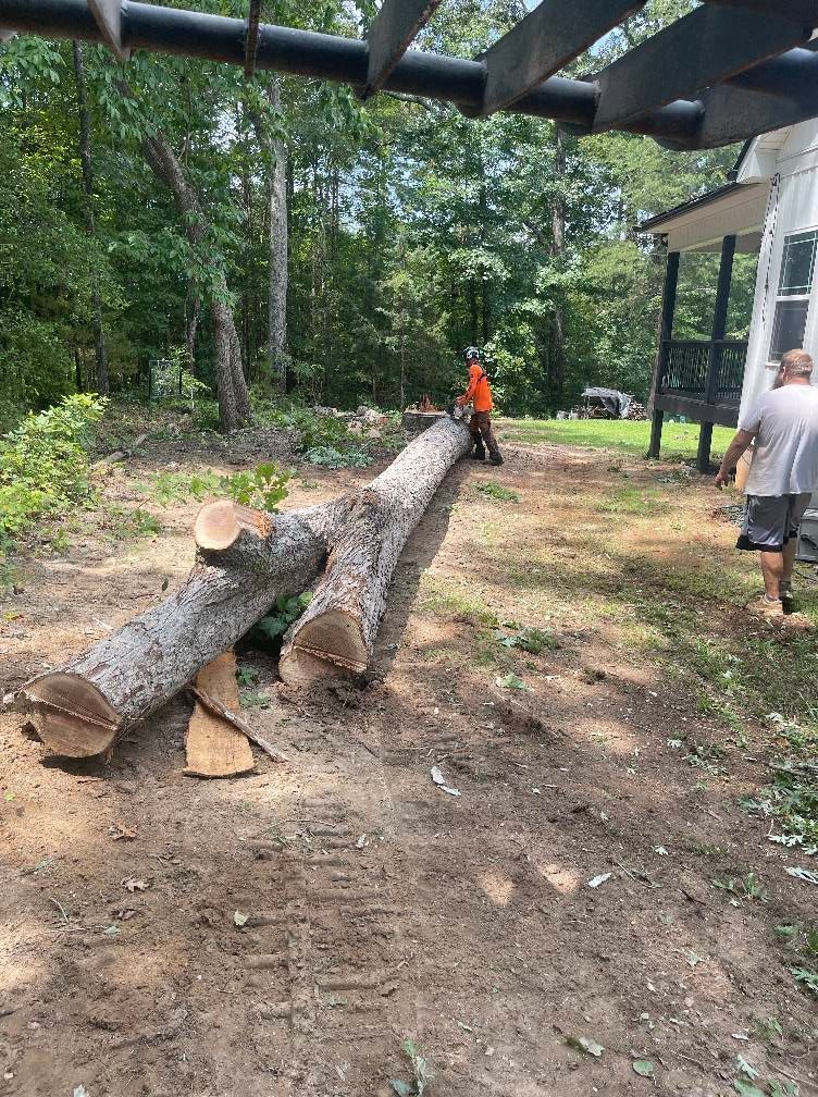 Man using chainsaw to cut a log on a dirt path, another man walks nearby a house.