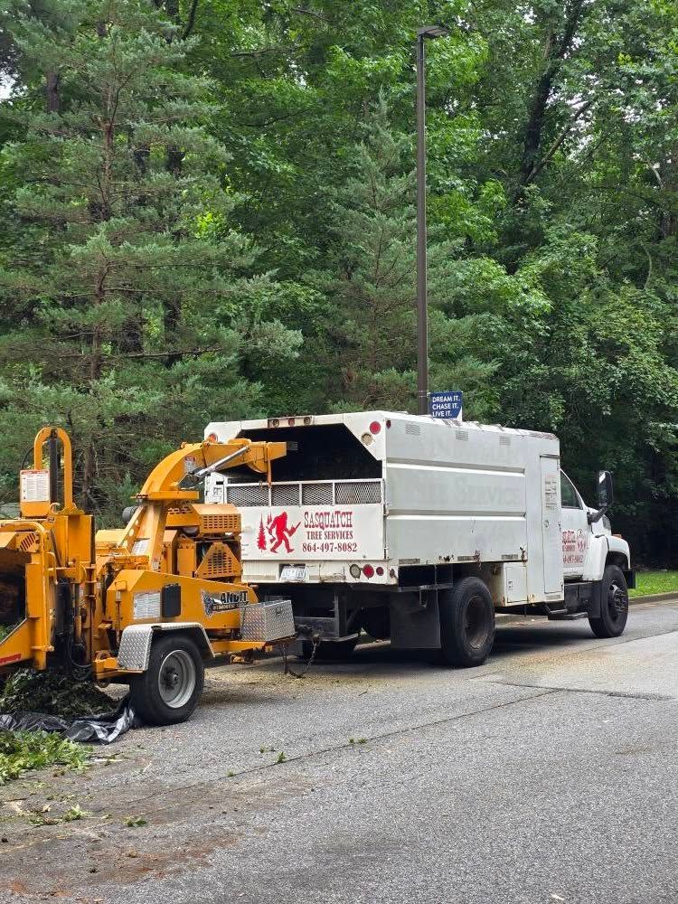 A white tree service truck with a wood chipper parked on a road, with trees in the background.