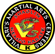 Martial arts centers logo with a snake on it