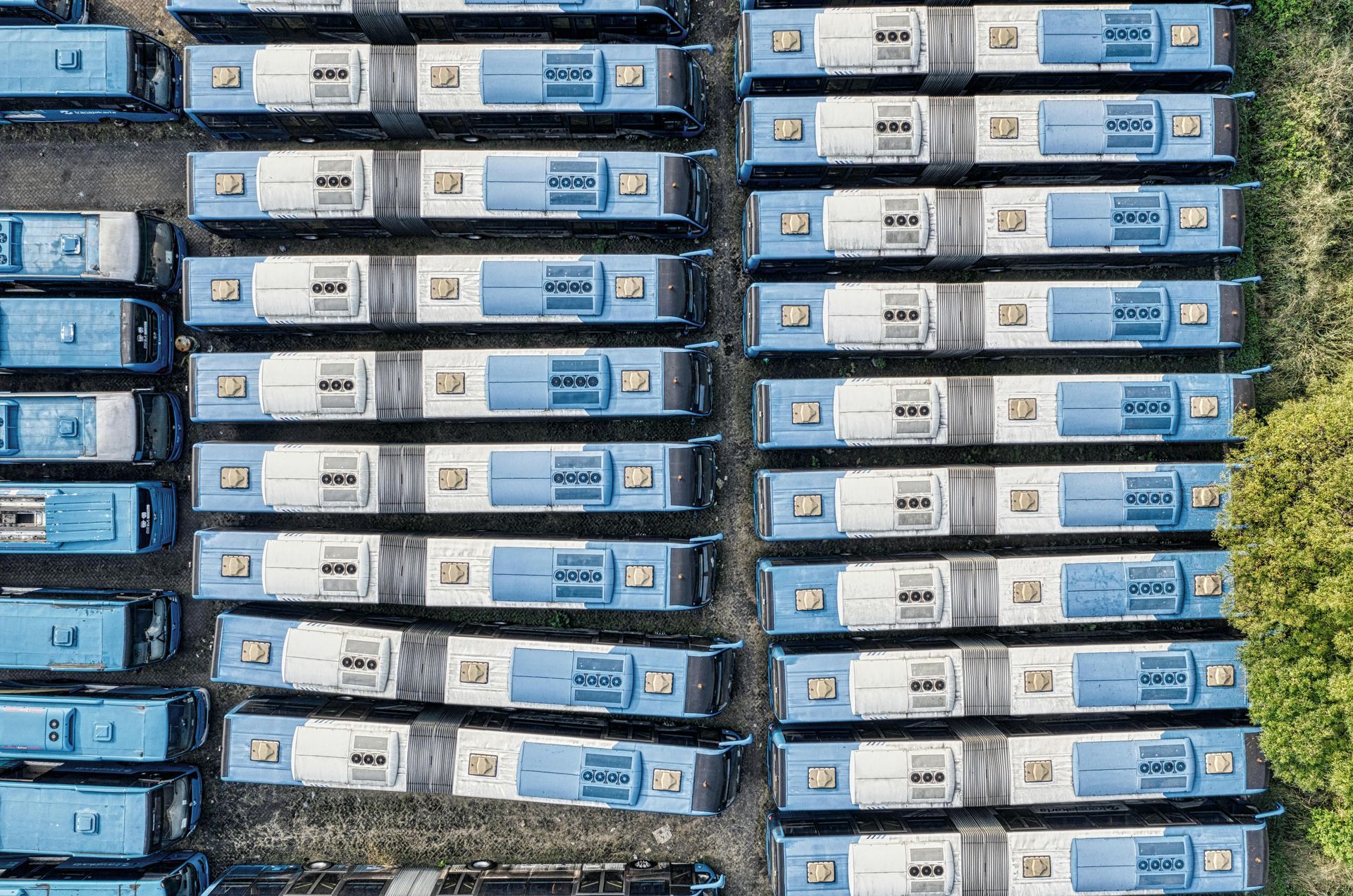 Aerial view of many blue and white buses parked in rows.
