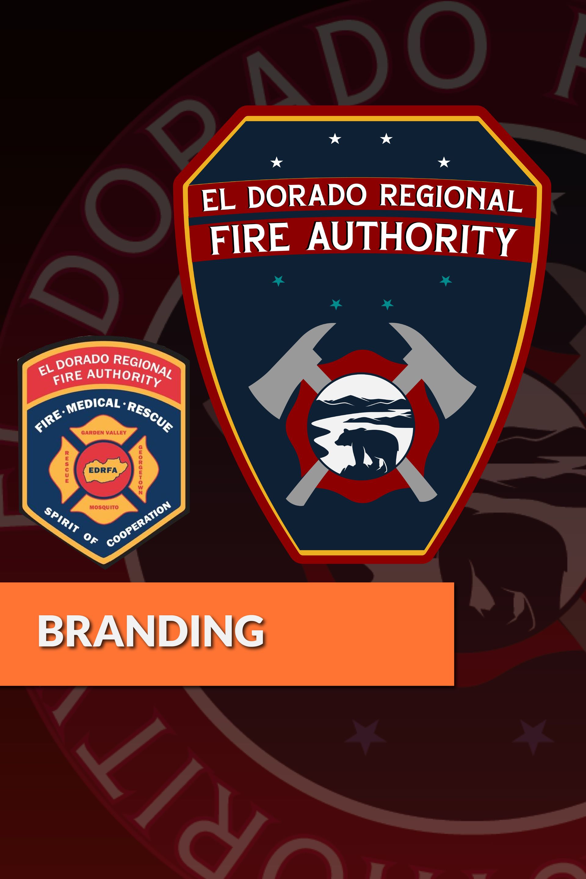 branding and logo design development for fire department and fire service organizations