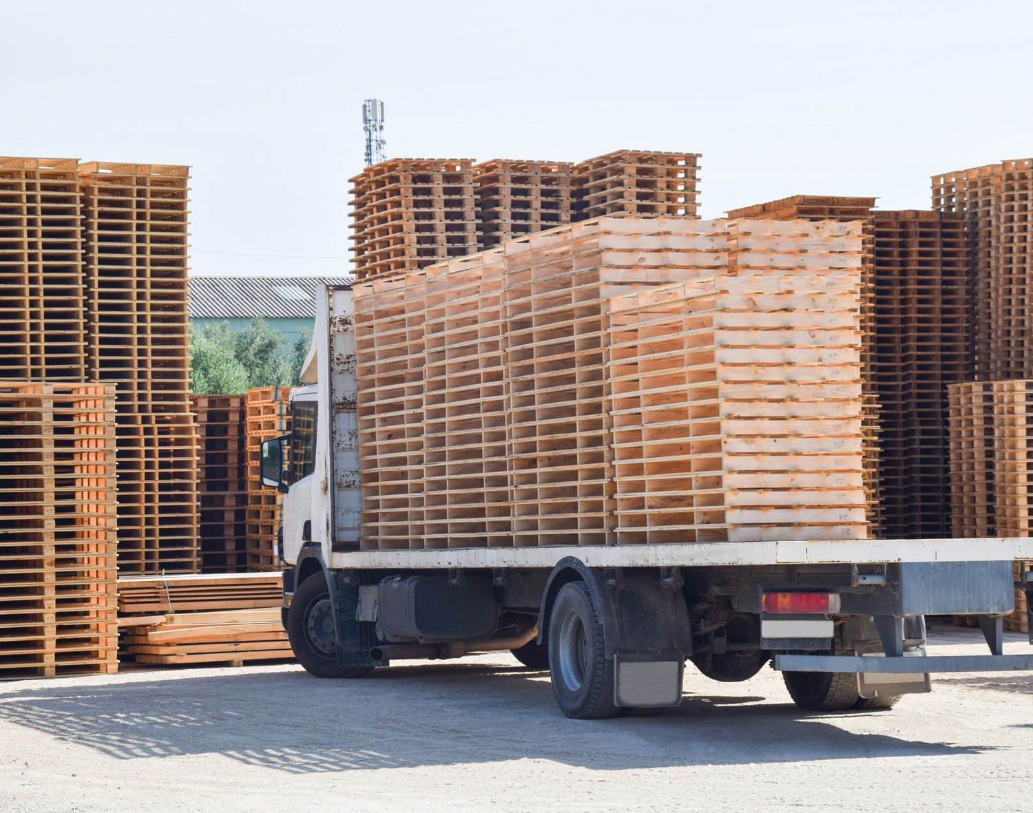 warehousing pallets for the movement of goods in transport vehicle