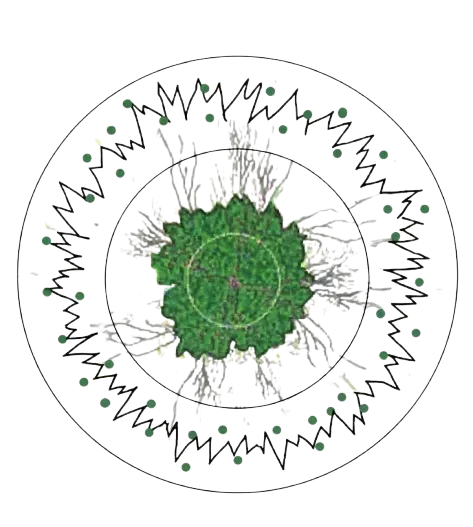 Why Green Magic
is Superior