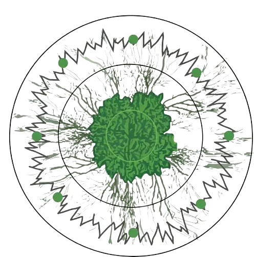 Why Green Magic
is Superior