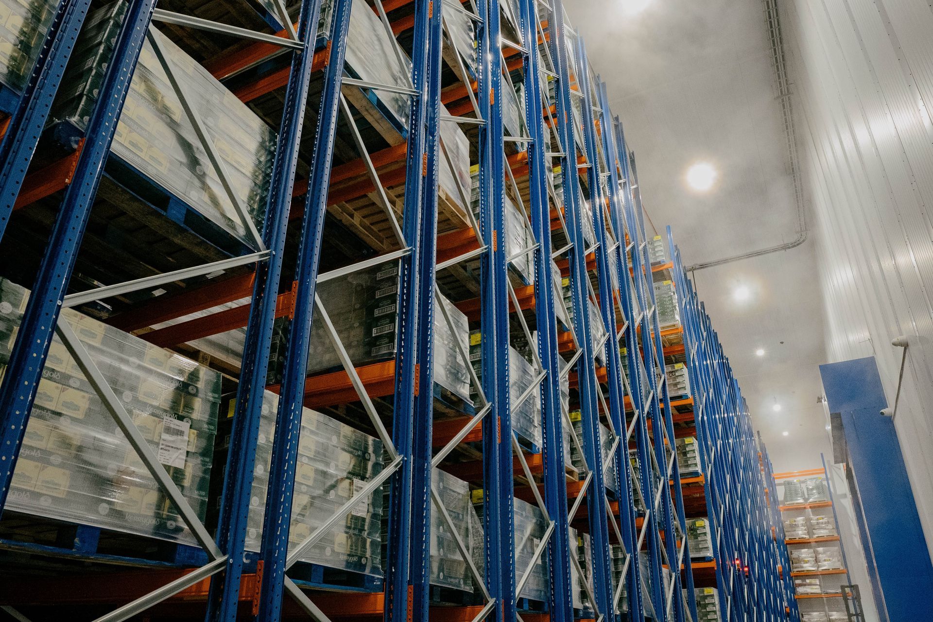 Final Phase of Advanced Freezer Room with Fire-Resistant Features for CGI by Aircold Panel Solutions.