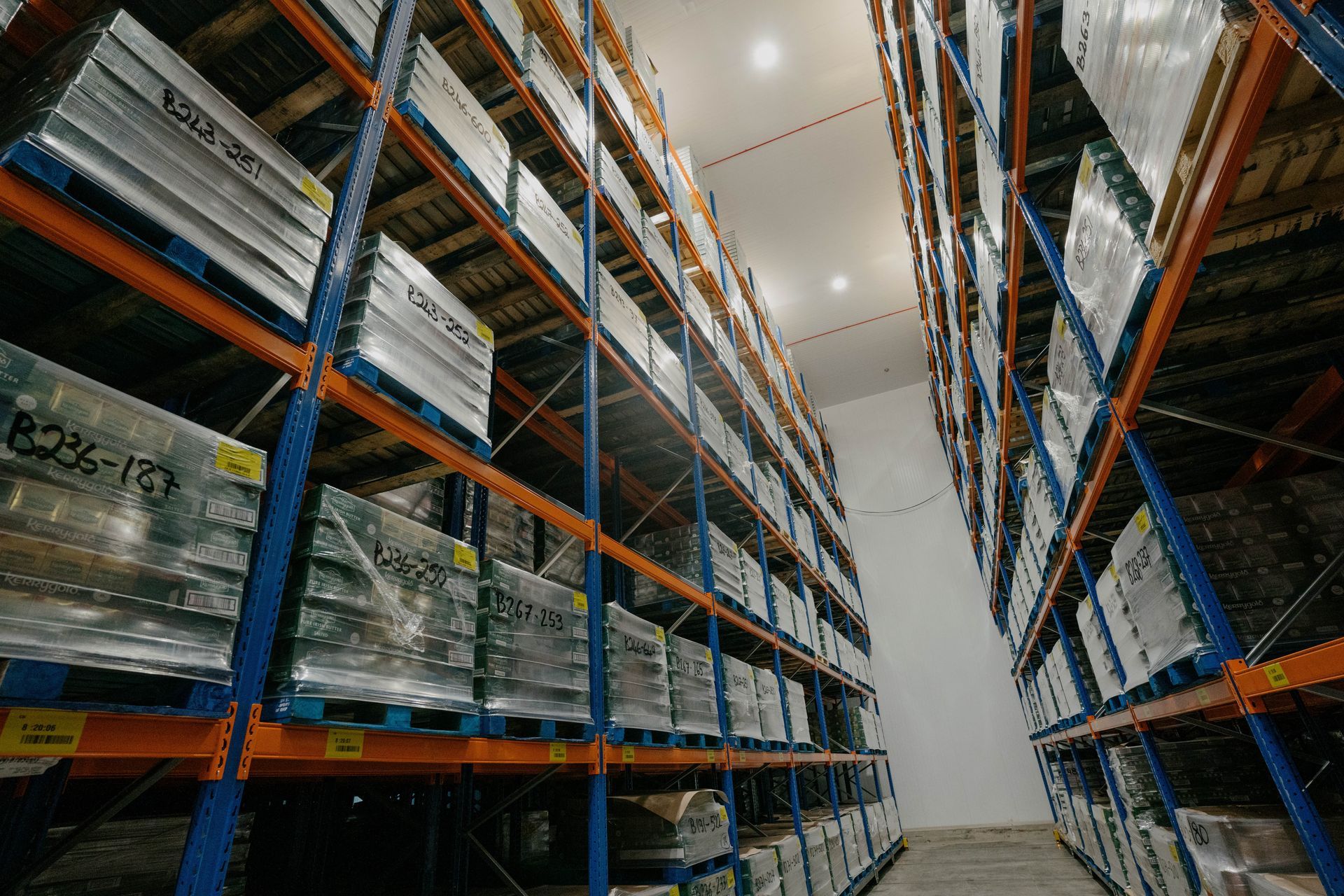 Final Phase of Advanced Freezer Room with Fire-Resistant Features for CGI by Aircold Panel Solutions.