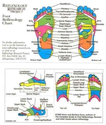 Alternative Theraphy — Picture of Foot Reflexology Chart in West Monroe, LA