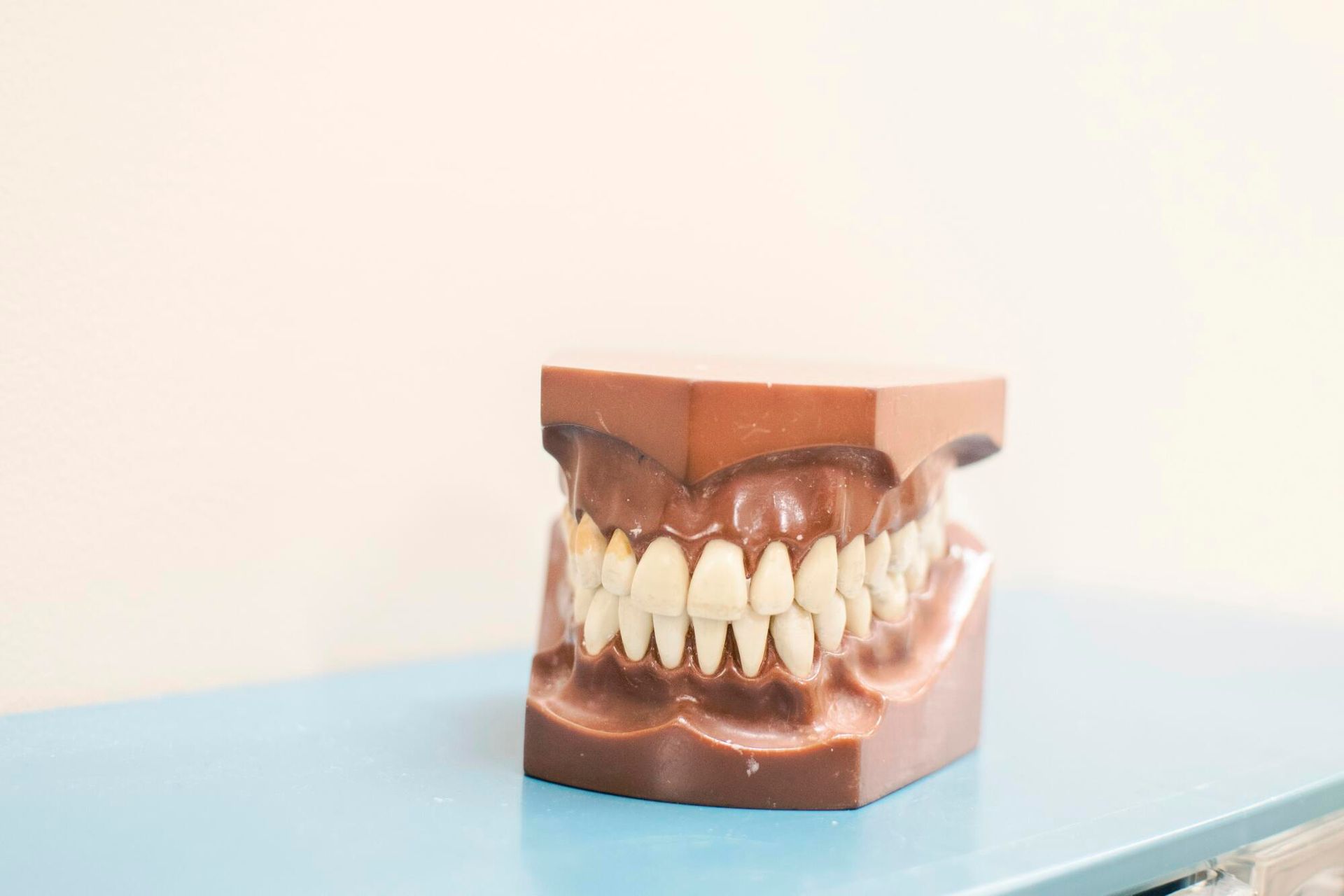 A model of a person 's teeth is sitting on a blue table.