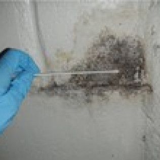 A mold remediation in Knoxville TN by All Clean Mold Remediation
