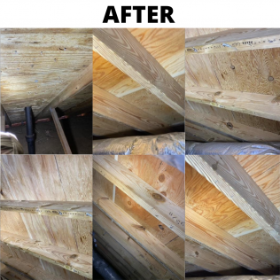 A mold remediation service in Knoxville TN with All Clean Mold Remediation