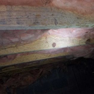 A water mitigation service in Knoxville TN with All Clean Mold Remediation