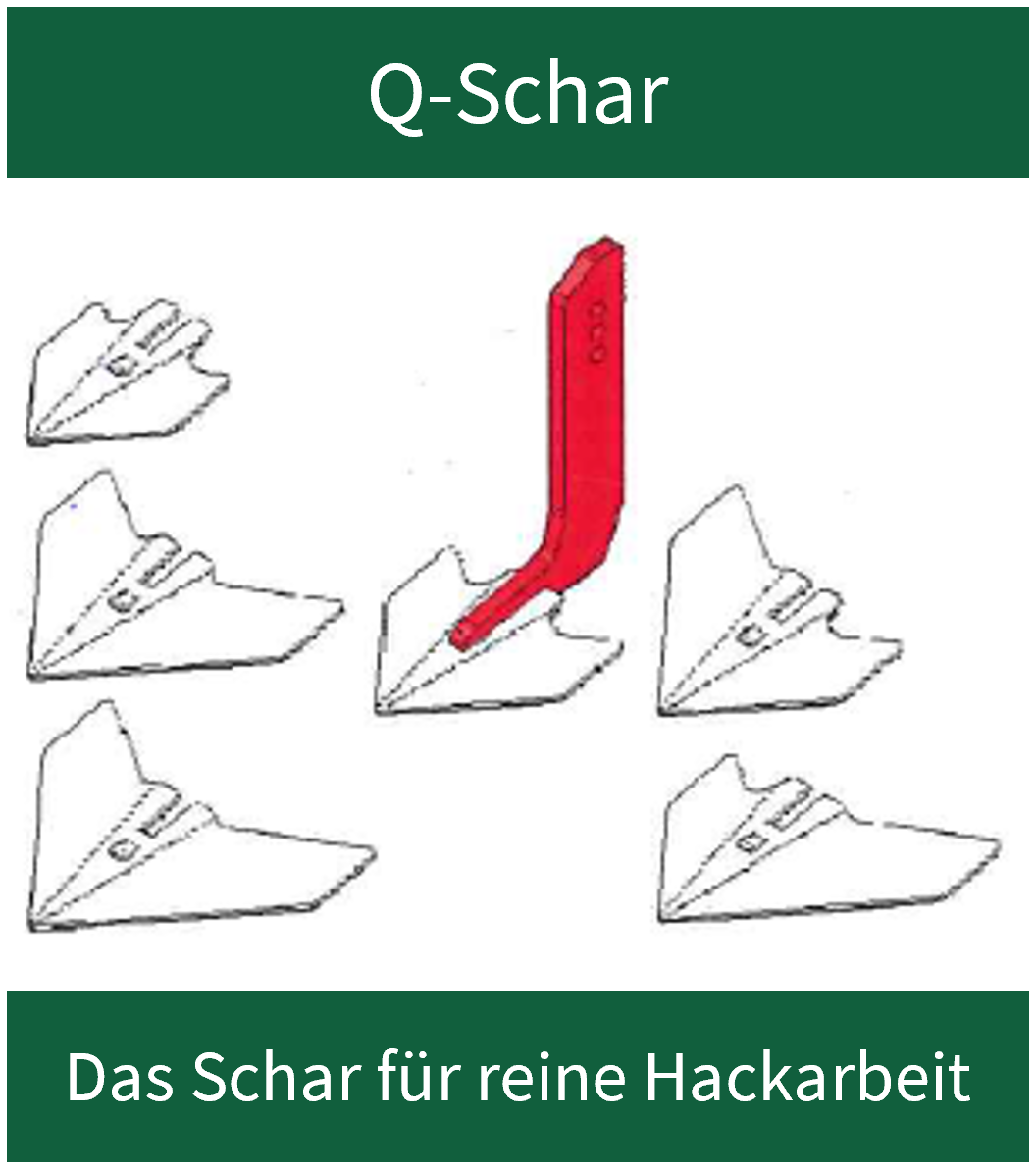 Q-Schar Cameleon