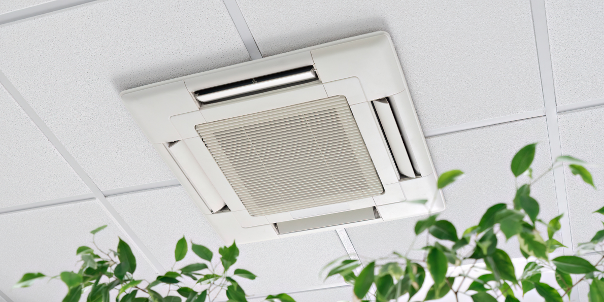 A ceiling fan is hanging from the ceiling next to a plant.