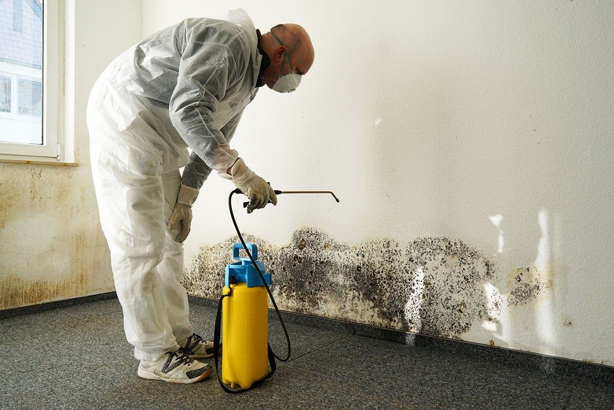 Mold Remediation