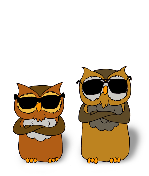 Privacy-Owls