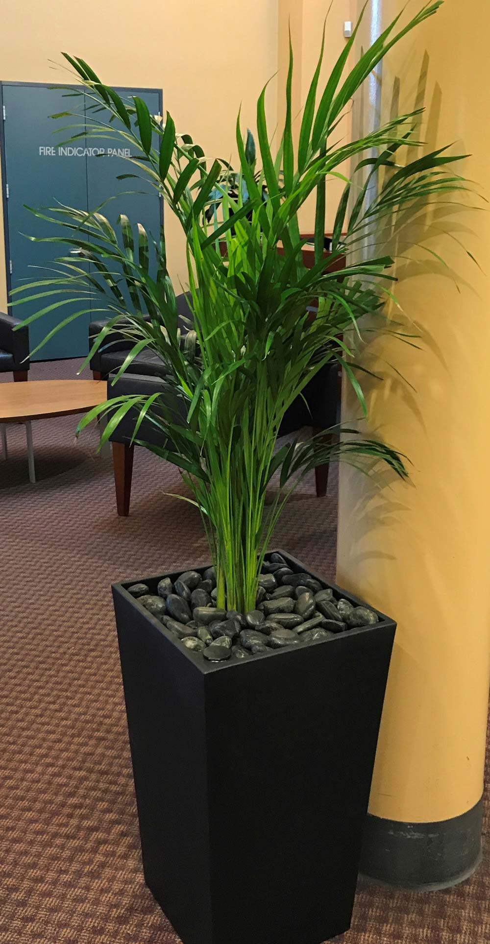 Live Plant Hire Adelaide