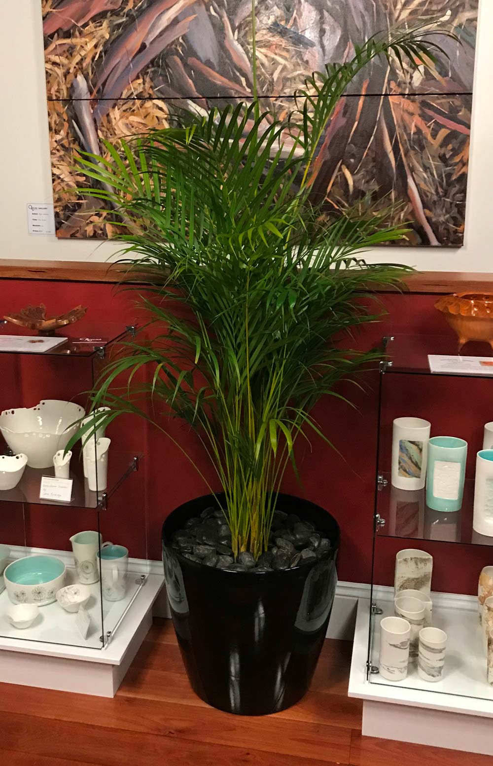 Live Plant Hire Adelaide