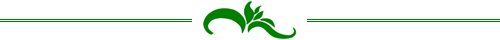 greenfingers indoor plant hire divider