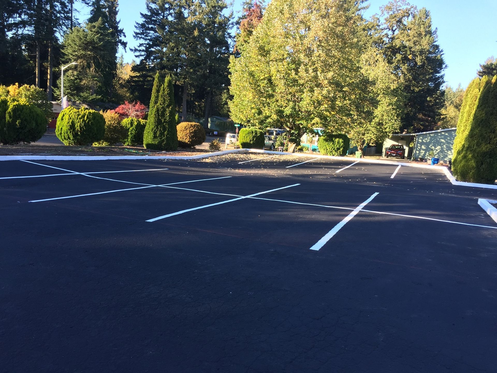 Empty asphalt parking lot with white painted lines, trees and bushes in the background.