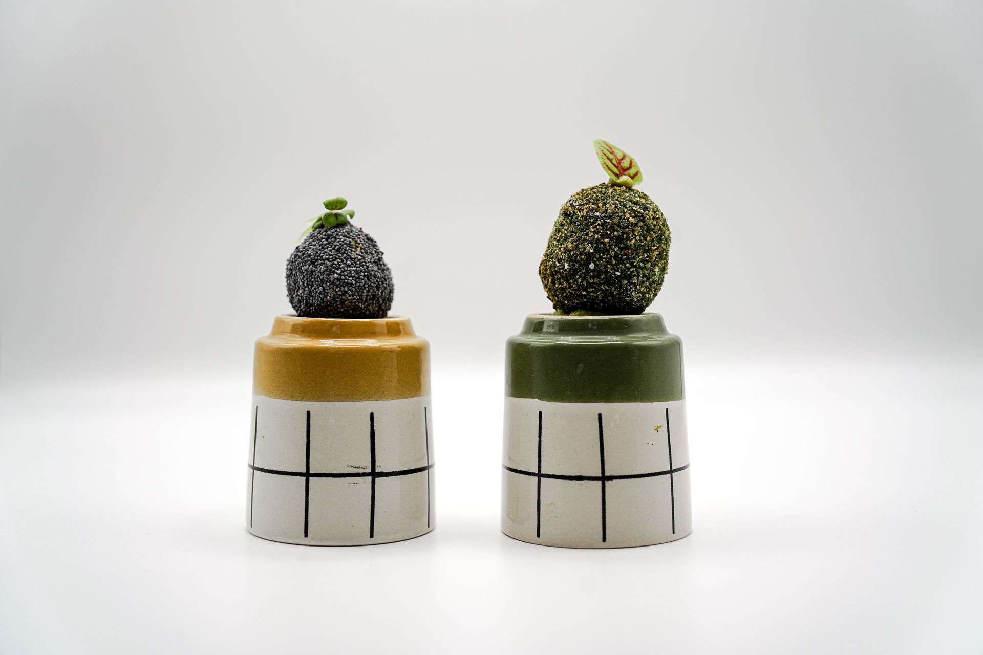 Photographe Gastronomie Mons.