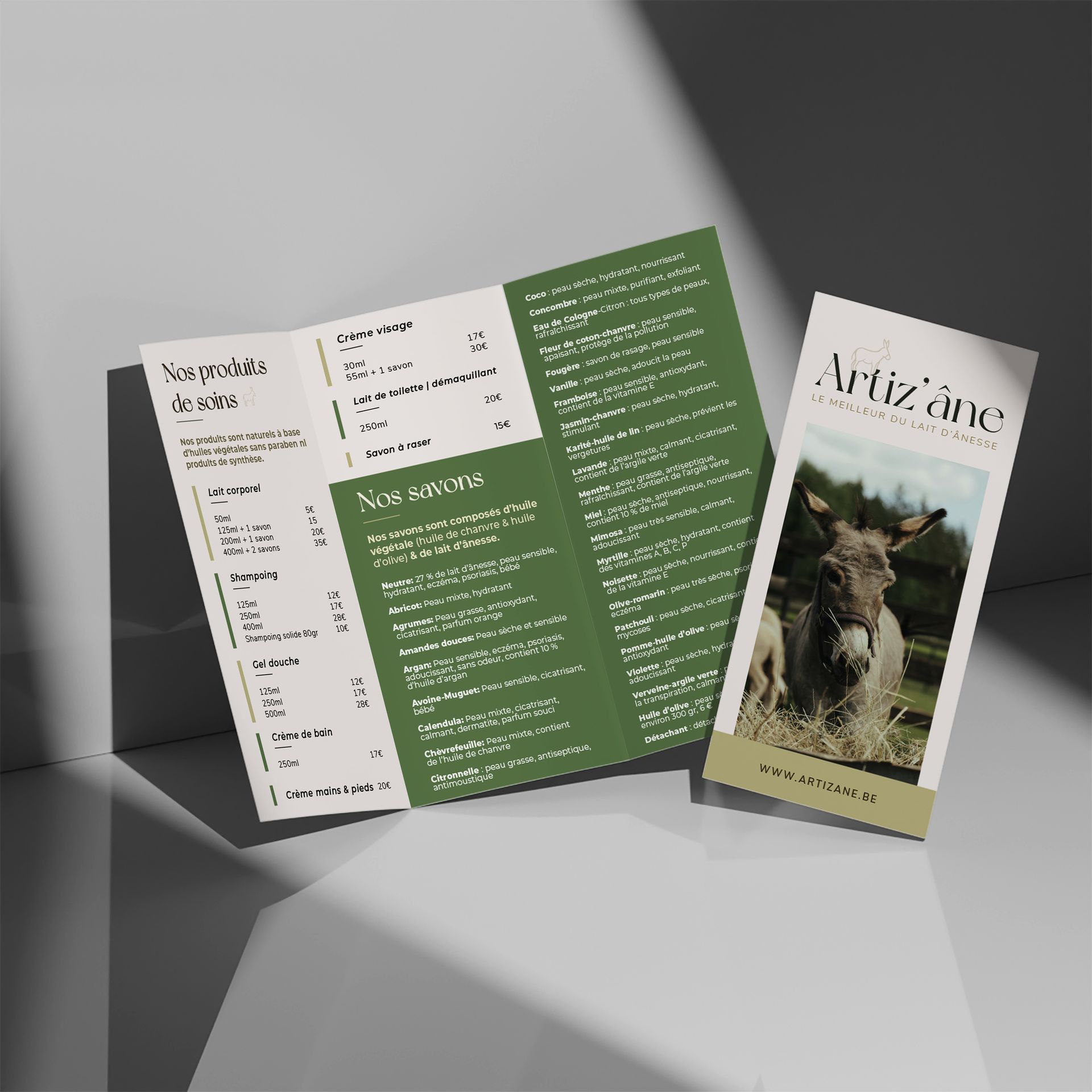 Une brochure ornée d'un âne, ouverte pour révéler un texte sur des panneaux verts et crème.