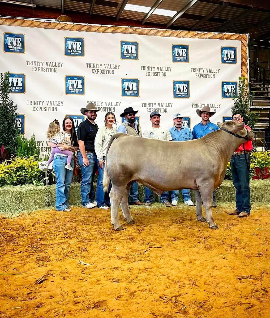 premier roofing group support